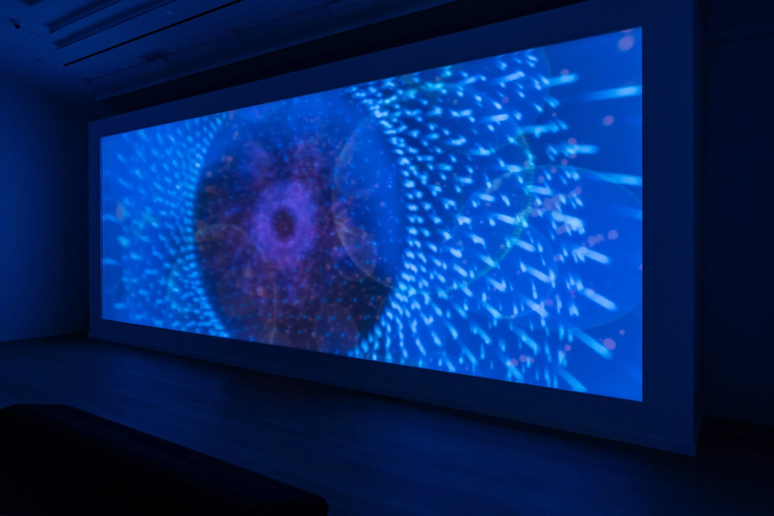 邦楽 Celestial Garden Celesten Chevalier Celestial Garden Celesten Chevalier☆ | D1ディレクター市長